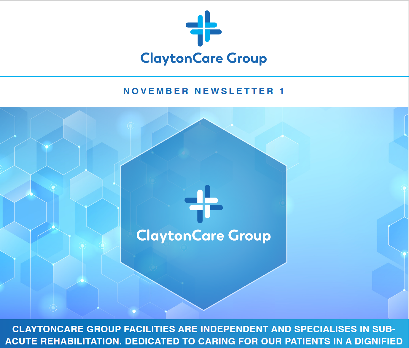 NOVEMBER NEWSLETTER 1
